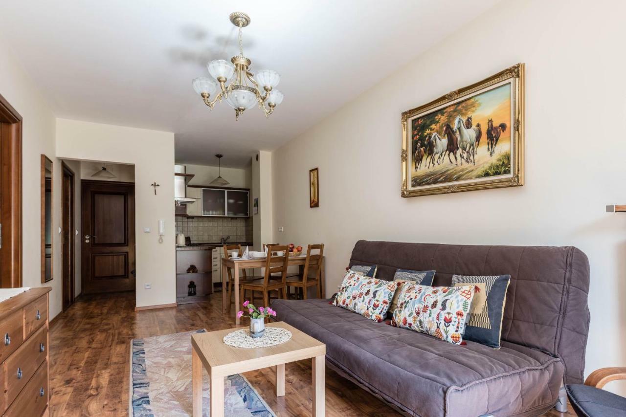 זקופאנה Apartamenty Przy Potoku מראה חיצוני תמונה